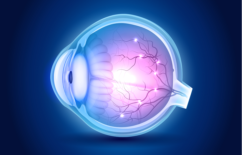Контактные линзы при дальнозоркости